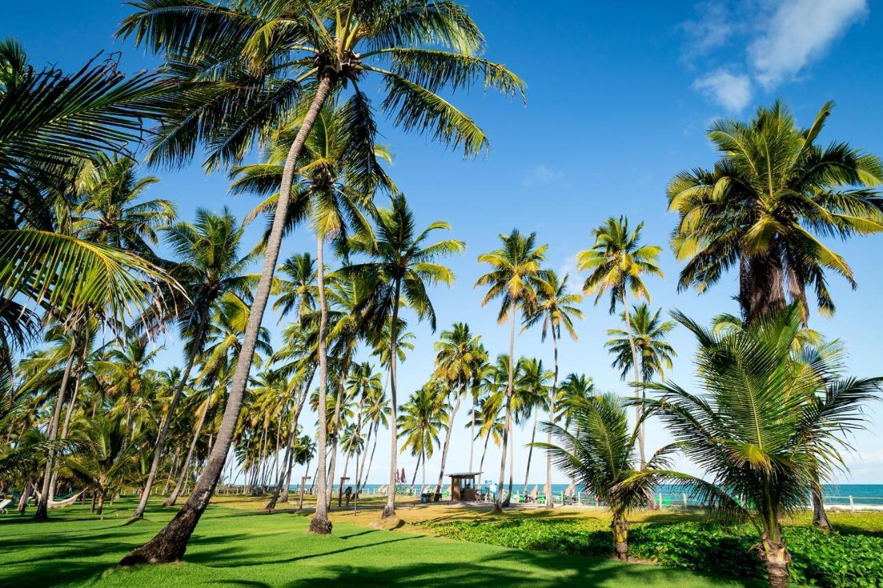Paraiso Na Terra - Carneiros Beach Resort Tamandaré المظهر الخارجي الصورة