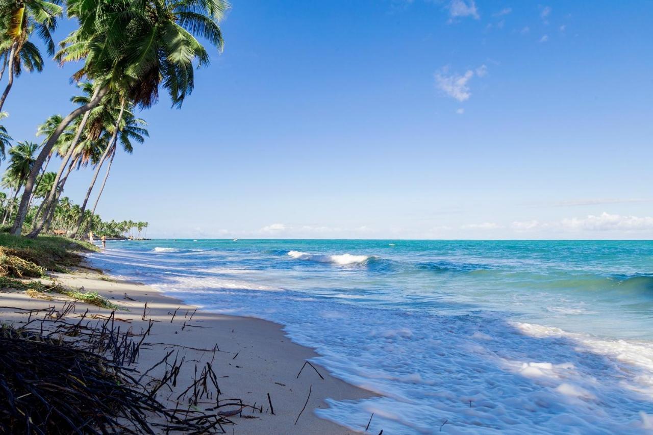 Paraiso Na Terra - Carneiros Beach Resort Tamandaré الغرفة الصورة